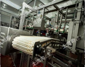 俄羅斯現代肉類加工廠整體轉讓與先進技術推廣